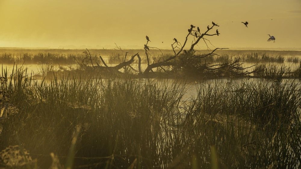 Photograph by Владимир Стрелков