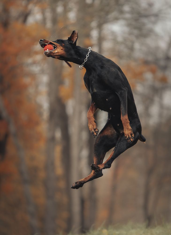 Photograph by Мария Клещенко