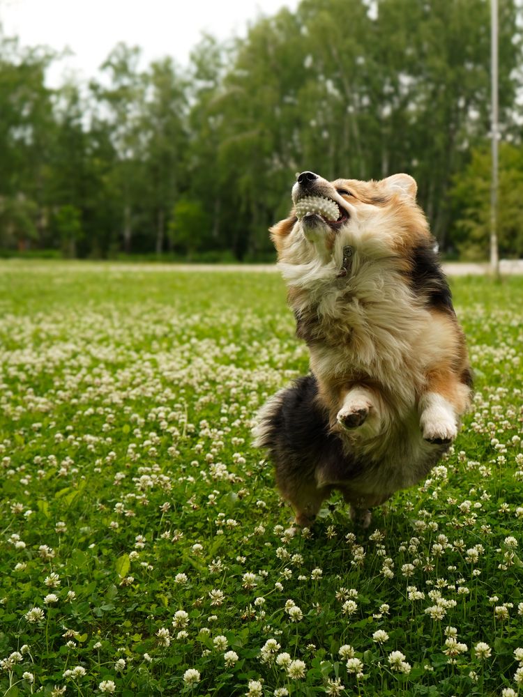 Photograph by Светлана Смирнова