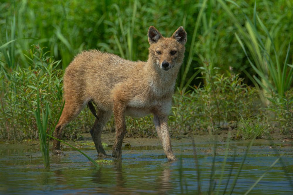 Photograph by Владимир Стрелков