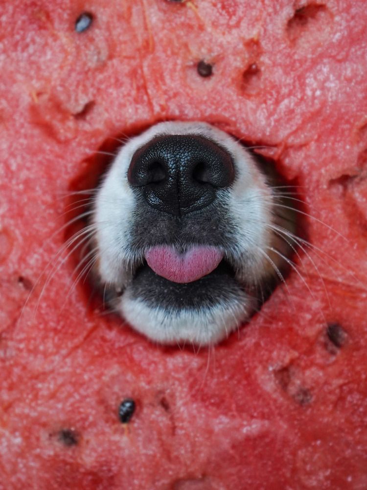 Photograph by Светлана Смирнова