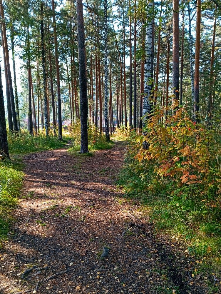 Photograph by Jaroslav Rudakov