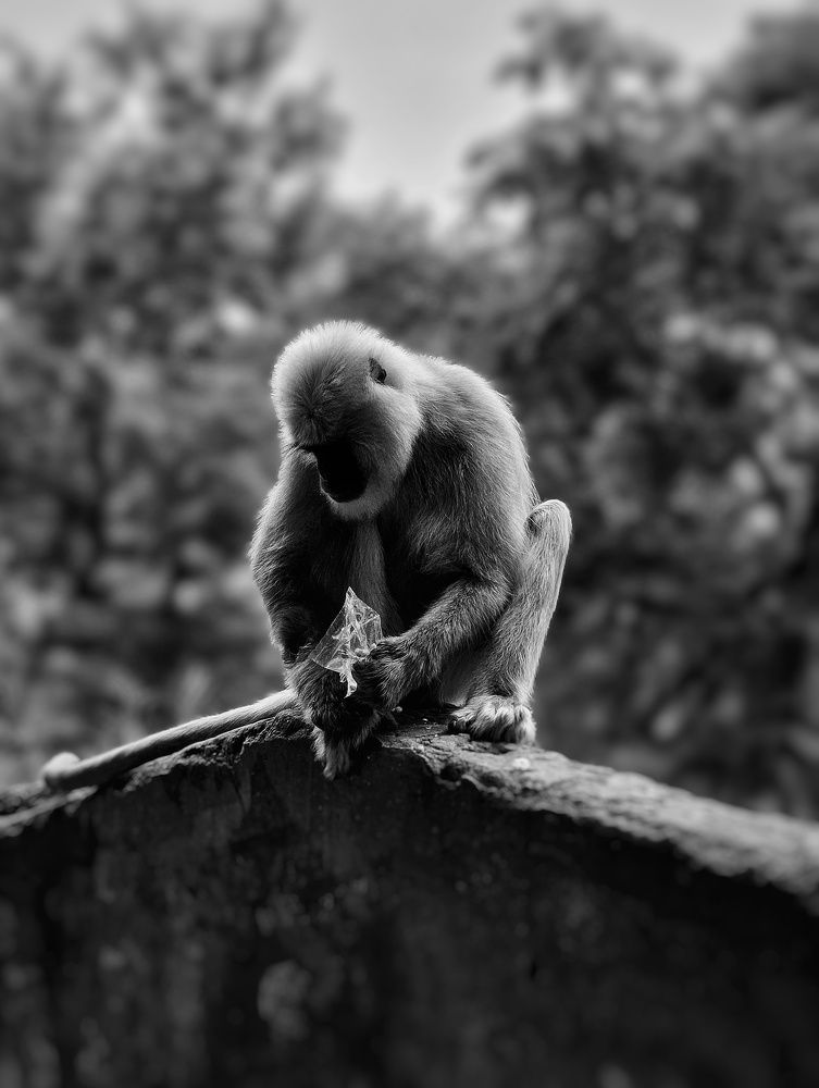 Photograph by Ganesh Bansal