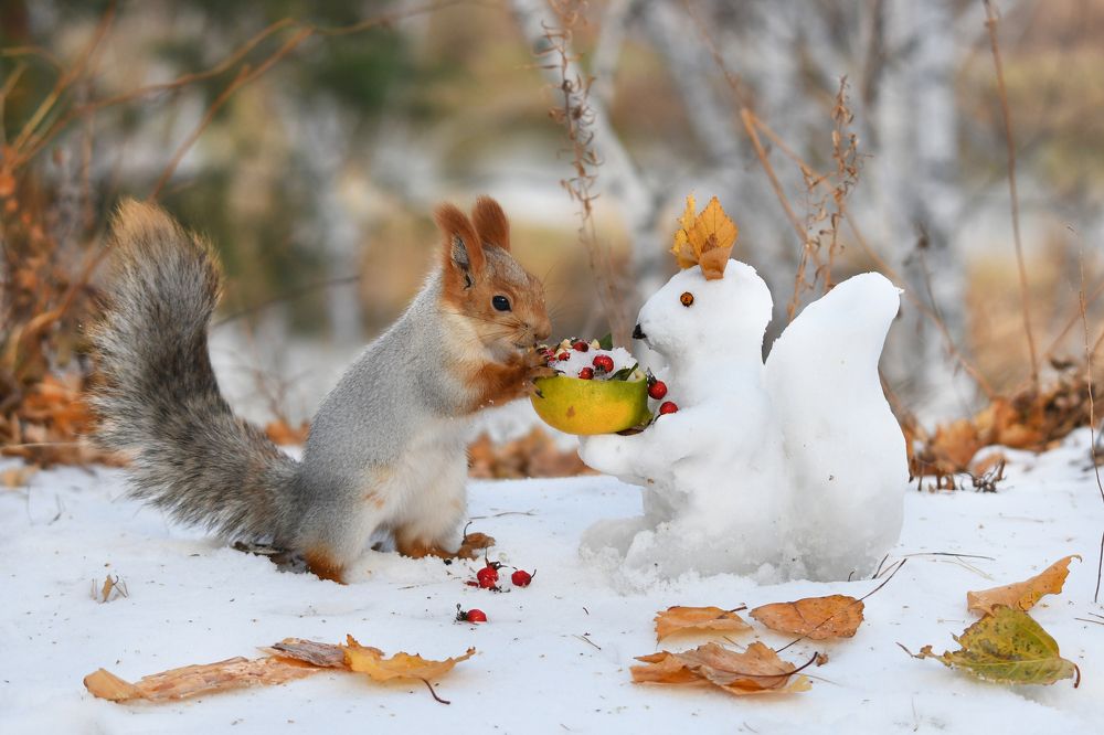 Изысканное угощение