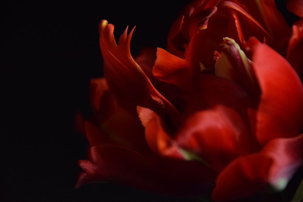 Photograph by Митюшкова Алёна