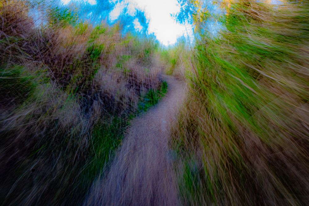 Photograph by Fernando Blanco Armendariz