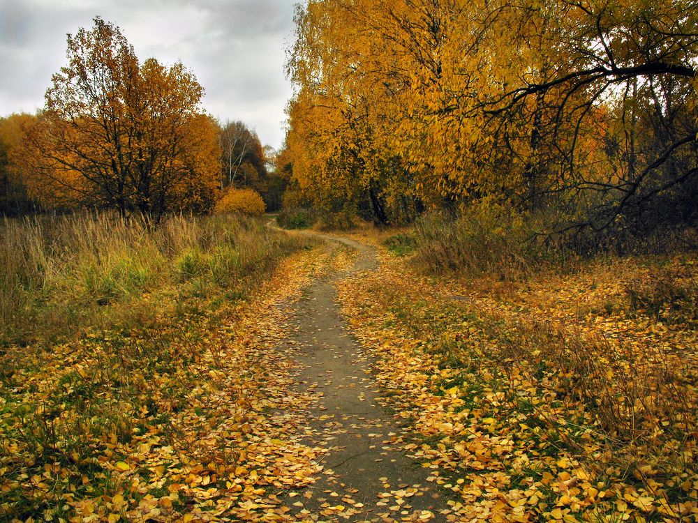 Photograph by Ионова Татьяна