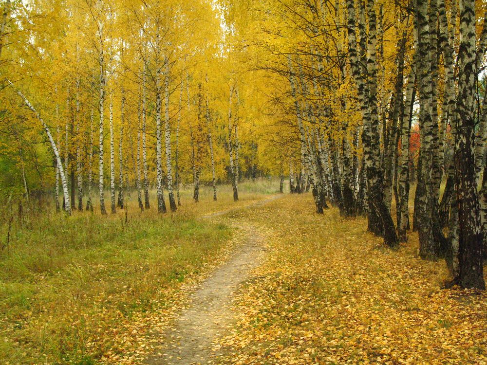 Photograph by Ионова Татьяна