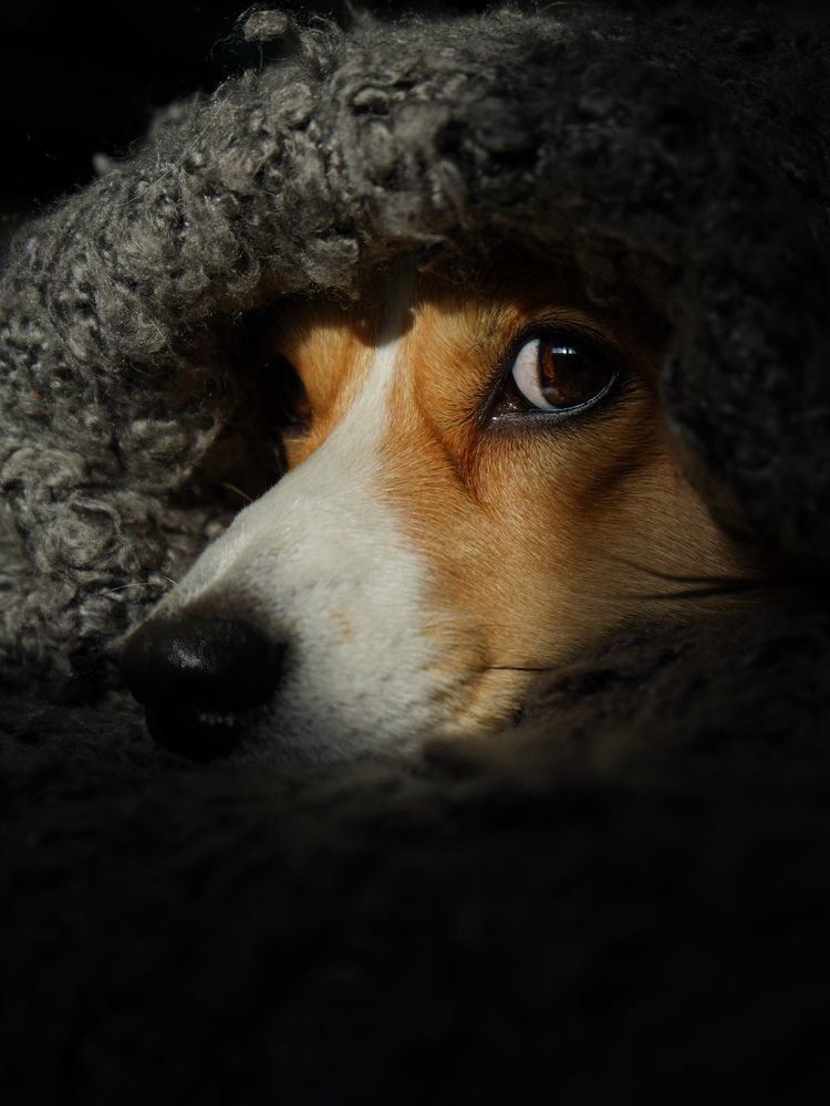 Photograph by Светлана Смирнова