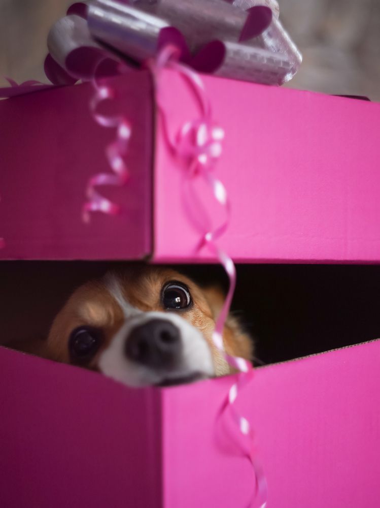 Photograph by Светлана Смирнова