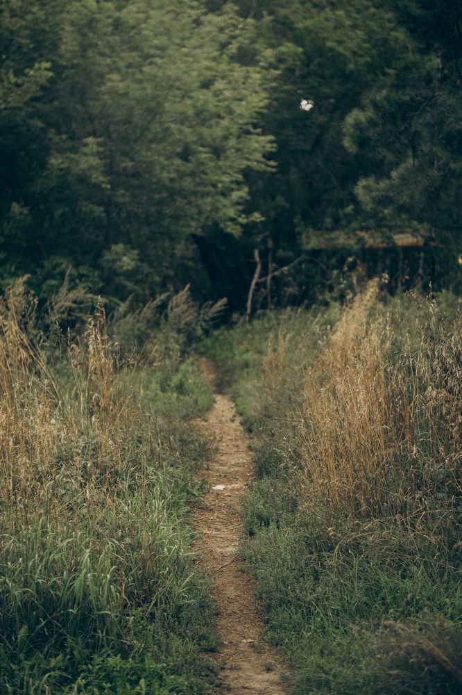 Photograph by Светлана Нестерова