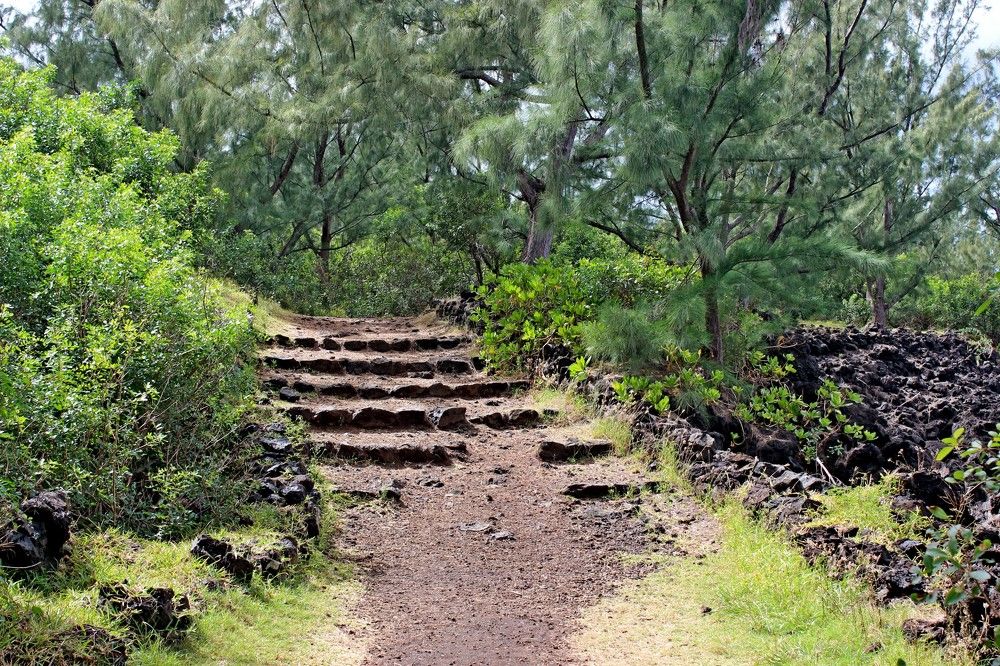 Фотография автора Nico Ebersohn