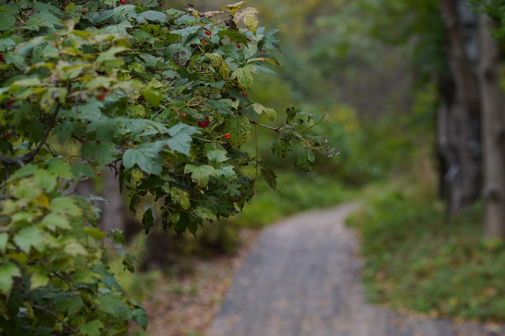 Photograph by Светлана Нестерова