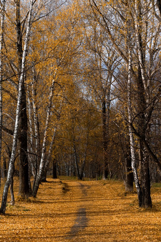 Photograph by Светлана Нестерова