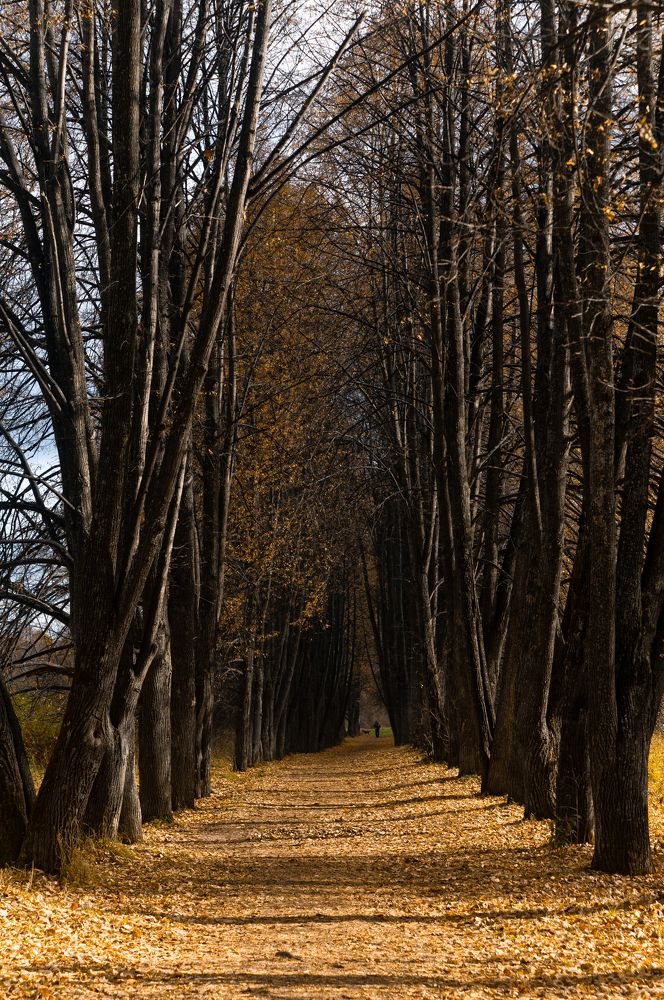 Photograph by Светлана Нестерова