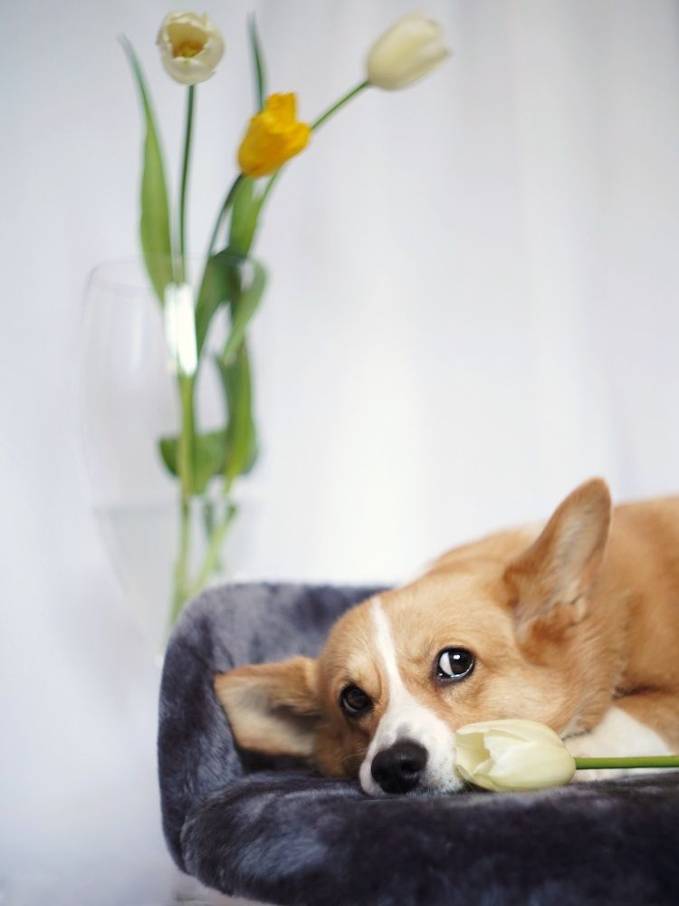 Photograph by Светлана Смирнова