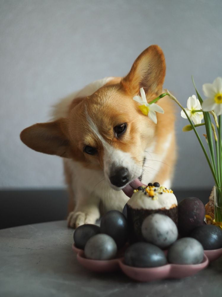 Photograph by Светлана Смирнова