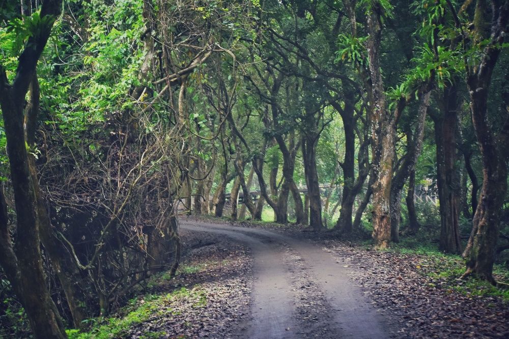 Photograph by Sarasij Betal