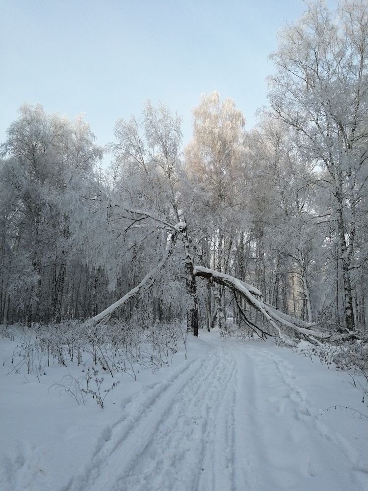 Photograph by Галина Попова