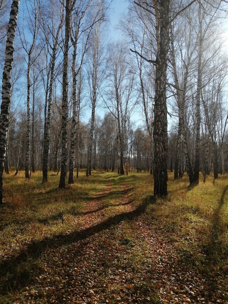 Photograph by Галина Попова