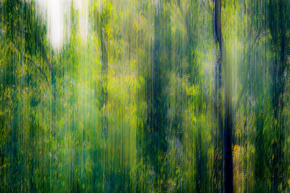 Photograph by Fernando Blanco Armendariz