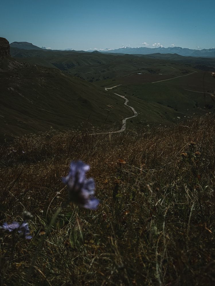 Photograph by Виктория Петренко