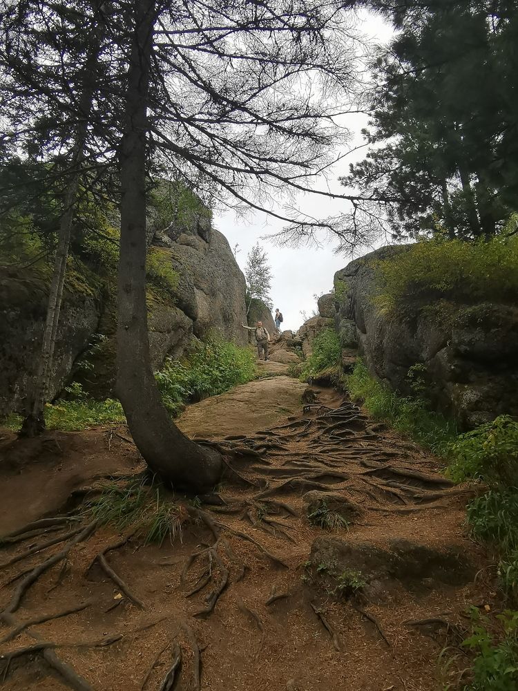 Photograph by Елена Есипова