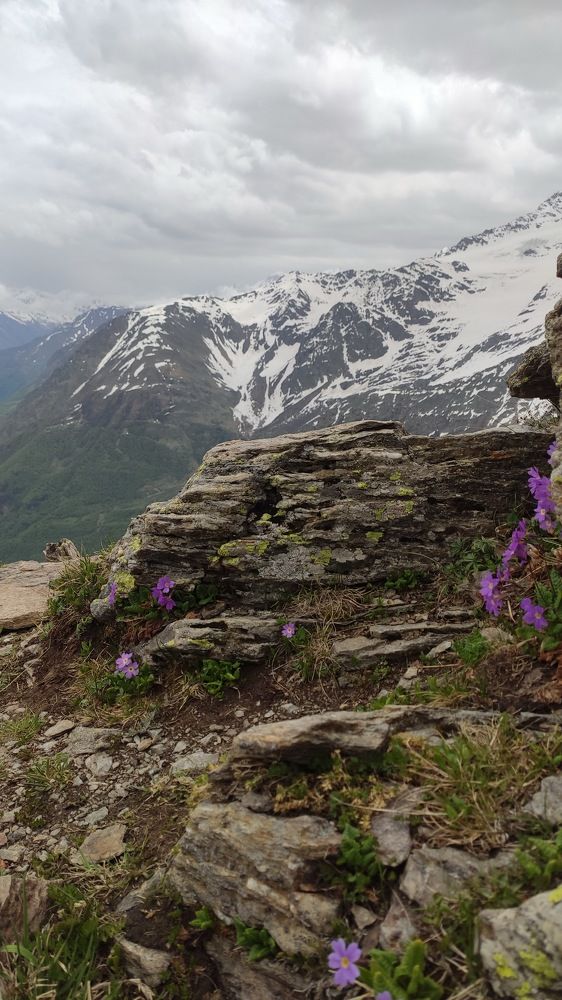 Photograph by Марина Федотова