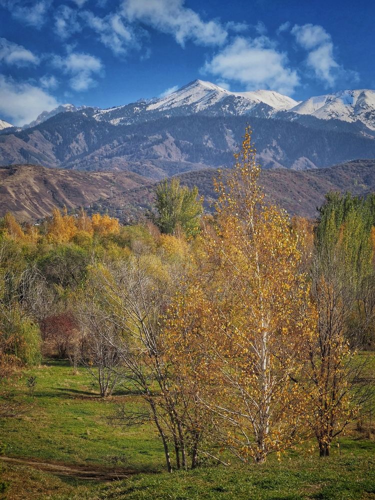 Photograph by Сергей Пермин