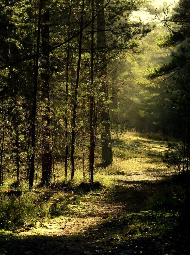 Photograph by 