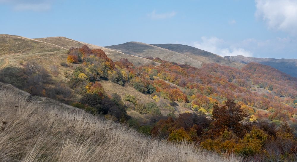 Фотография автора Андрей Симонов