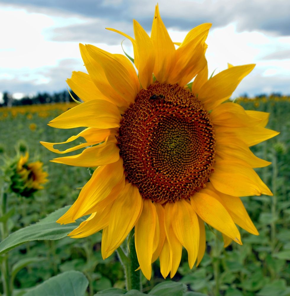 Photograph by Mikhail