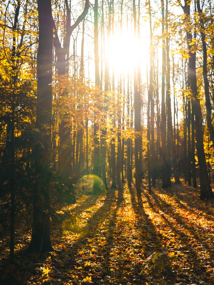 Photograph by Светлана Смирнова