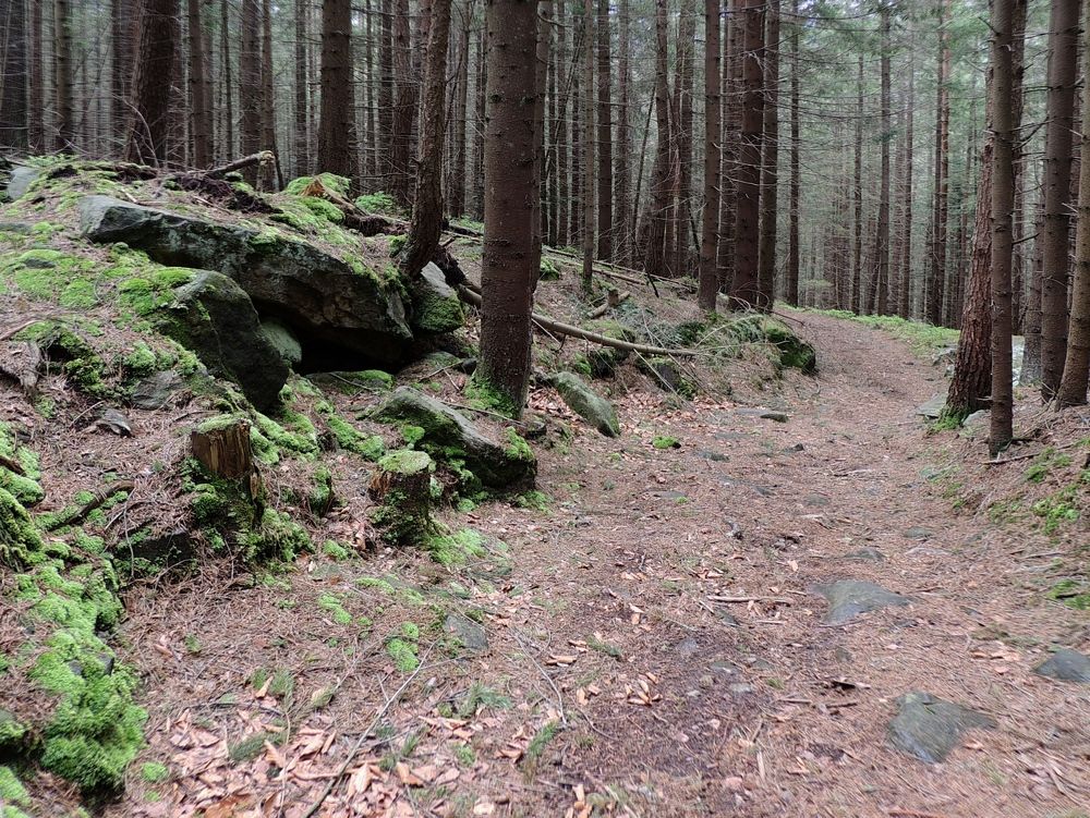 Фотография автора Роман Савоцкий