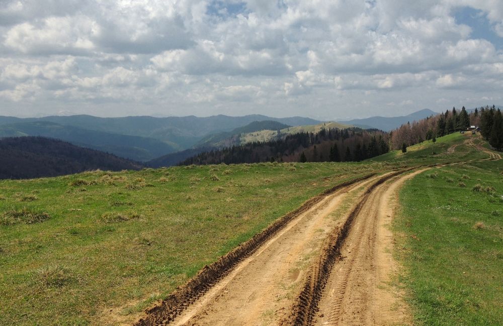 Фотография автора Роман Савоцкий