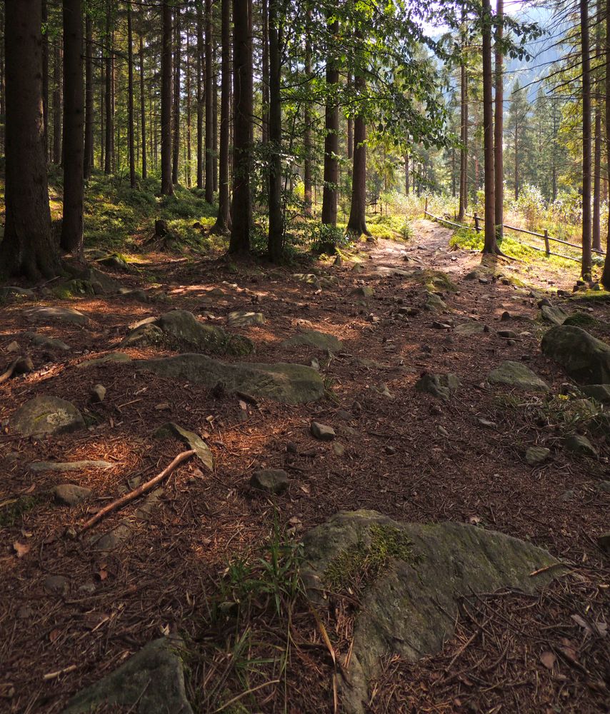 Photograph by Савоцкий Роман