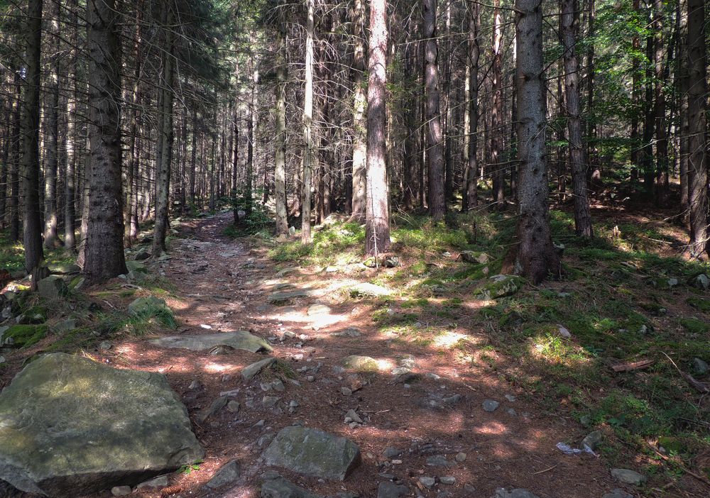 Photograph by Савоцкий Роман