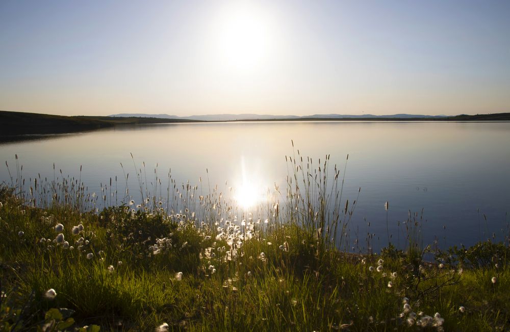 Photograph by Галина Ильясова