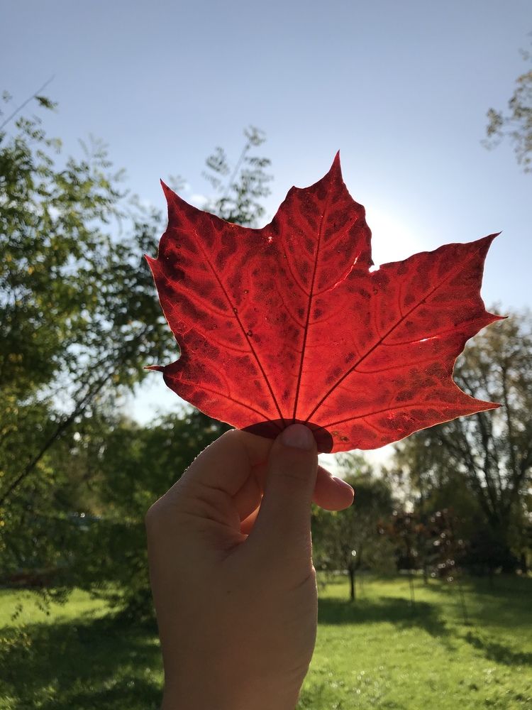 Photograph by Наталья Ермакова