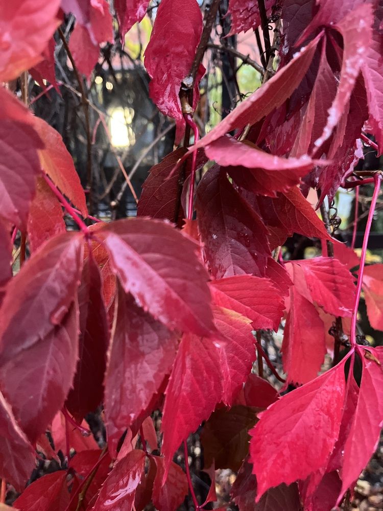 Photograph by Наталья Ермакова