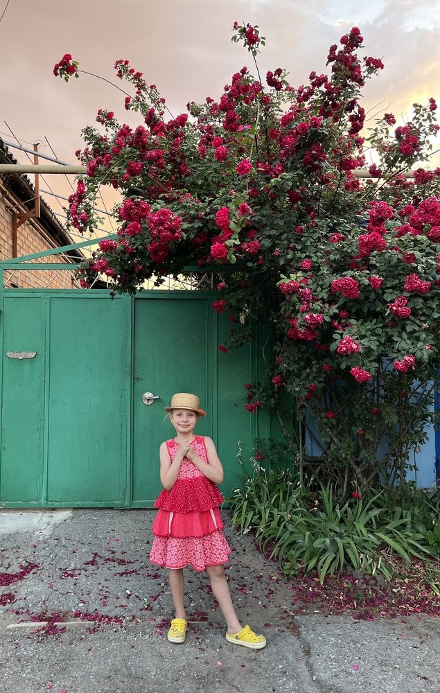 Photograph by Наталья Ермакова