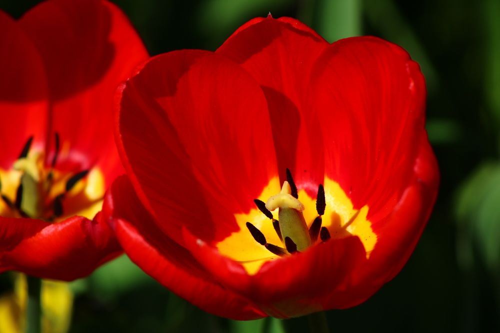 Photograph by Светлана Шуткова