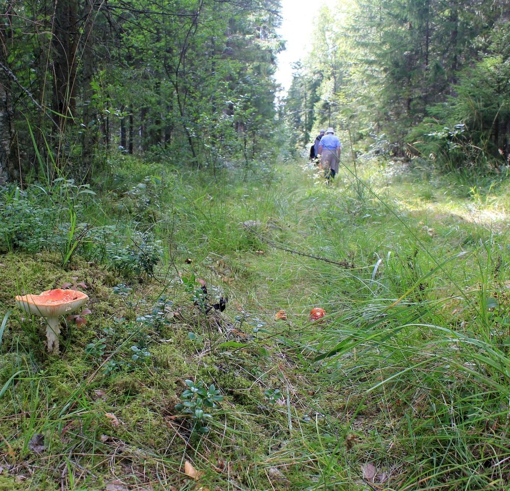 Photograph by Olga Bagaeva