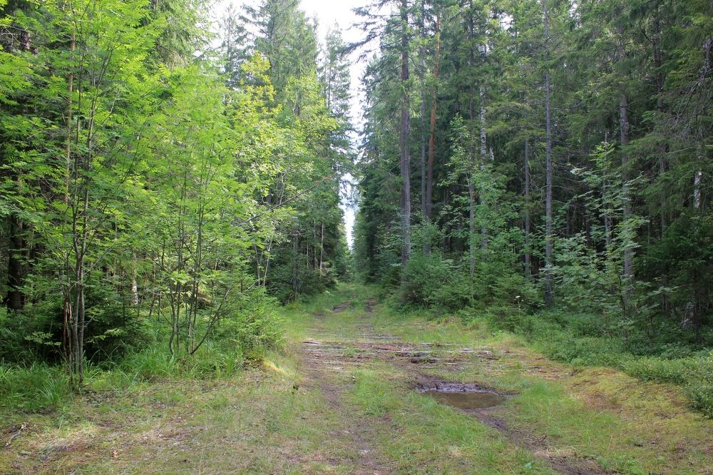 Photograph by Olga Bagaeva