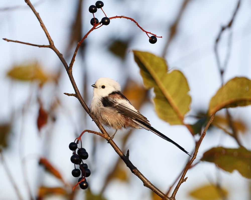 Photograph by Наталья Турчик