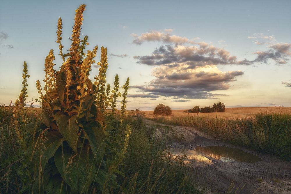 Photograph by Сергей Дишук