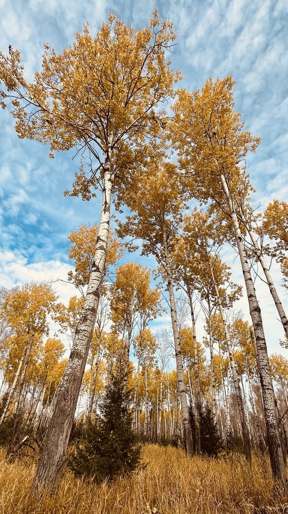 Фотография автора Сережа Диес