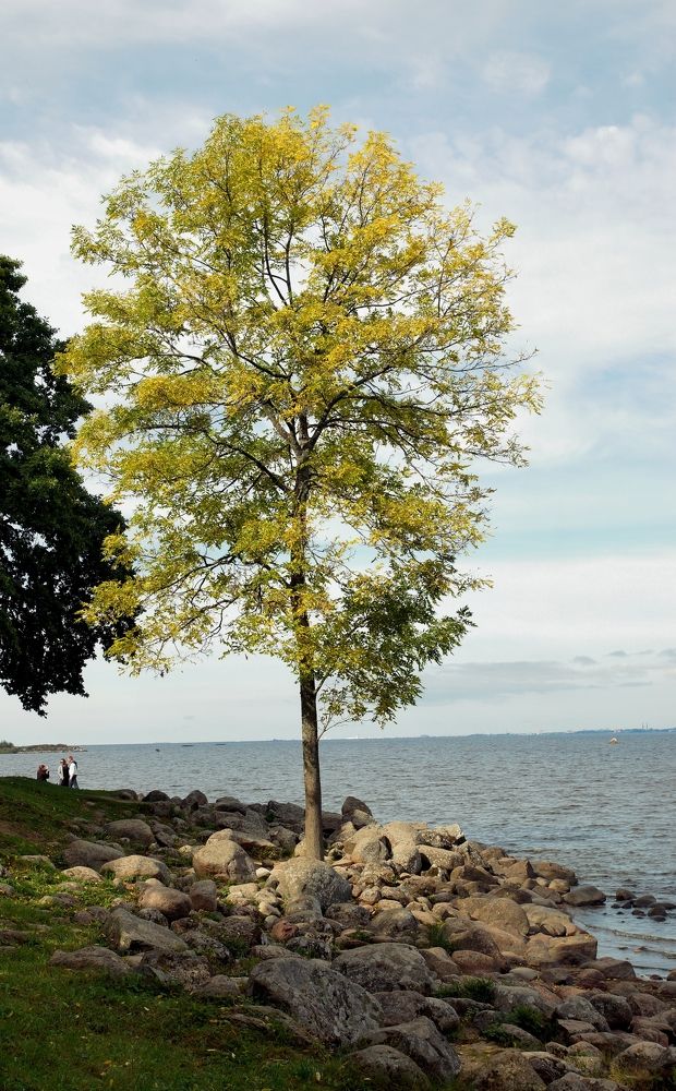 Photograph by Михаил Король