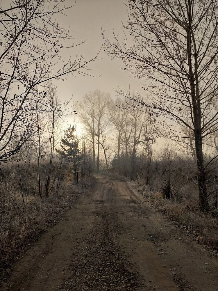 Photograph by Юлия Фирман