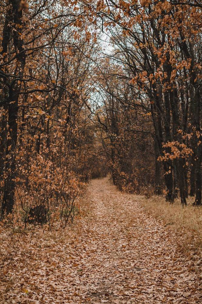 Photograph by Олеся Романова